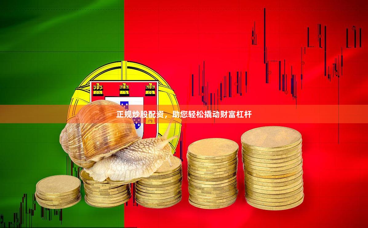 正规炒股配资，助您轻松撬动财富杠杆