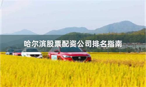 哈尔滨股票配资公司排名指南